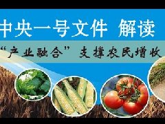 农村产业“协调发展”，离不开“三心”