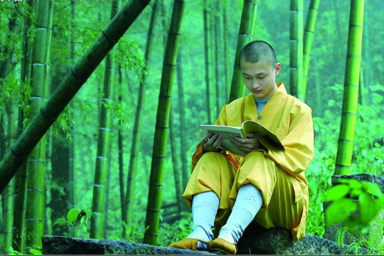 荒芜深处的探佚——读阎连科小说《丁庄梦》