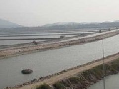 领导干部基层调研是否要“定点”