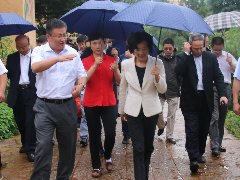 上海市代表团赴弥勒西三镇考察